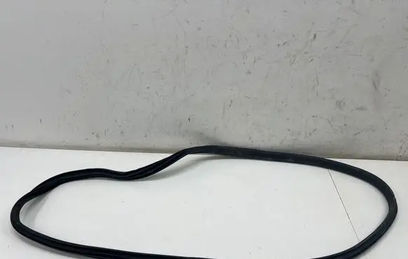 BMW i4 Front door rubber seal 7482945