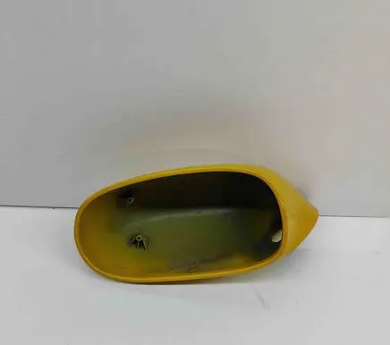 Chevrolet Corvette C6 Plastic wing mirror trim cover 15795837