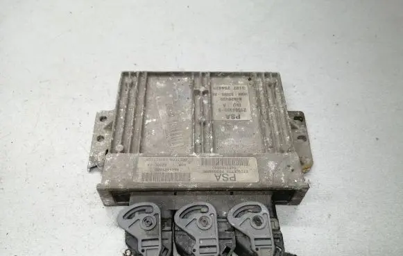 Peugeot 206 Engine control unit/module 9651500880 9644625680
