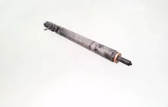SsangYong Kyron Fuel injector A6640170021