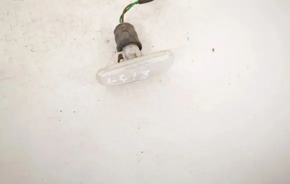 Front fender indicator light