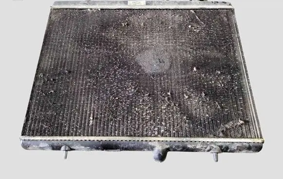 Citroen Berlingo Coolant radiator 9674089680 RM2047 M149382