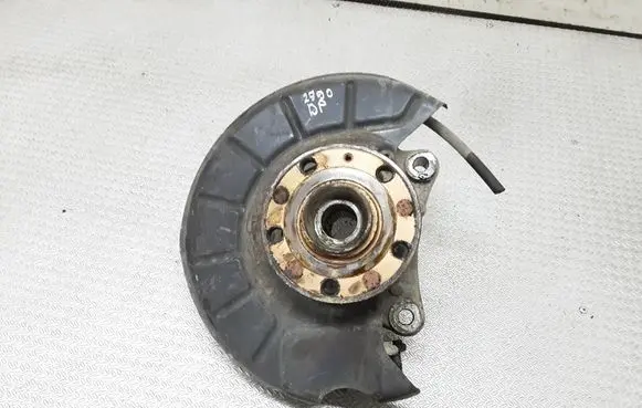Volkswagen PASSAT B6 Front wheel hub spindle knuckle