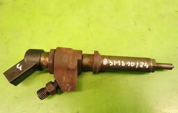 Peugeot Partner Fuel injector 9652173780