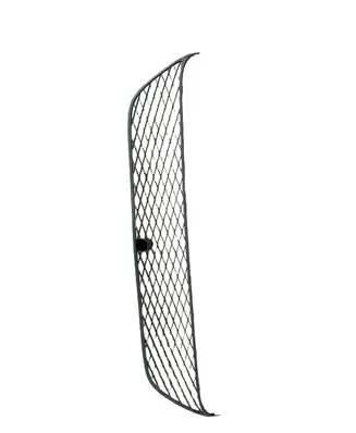 Mitsubishi Outlander Front bumper lower grill 6402A037