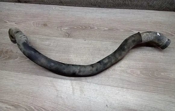 Volvo V70 Engine coolant pipe/hose