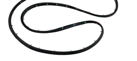 Ford Fusion II Rubber seal front door (on door) GAHYA
