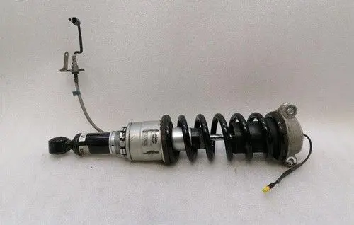 Ferrari FF Rear shock absorber with coil spring