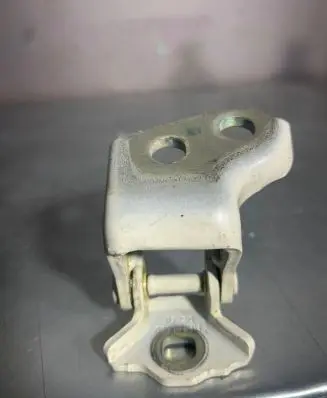 Rear door lower hinge