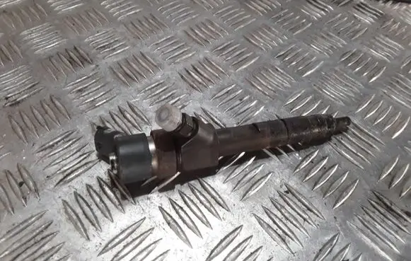 Renault Espace - Grand espace IV Fuel injector 8200100272 0445110110B