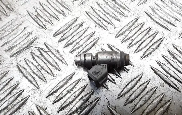 Renault Scenic RX Fuel injector