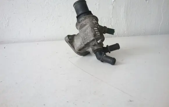 Thermostat/thermostat housing