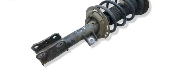 Ford Edge II Front shock absorber with coil spring F2GC18K001