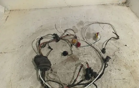 Front door wiring loom