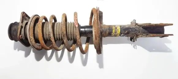 Fiat Doblo Front shock absorber/damper