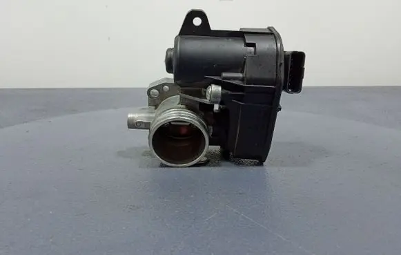 Throttle body valve