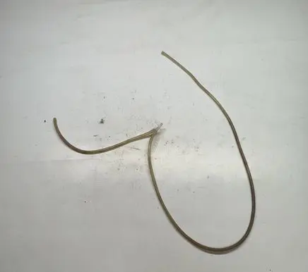 Nissan Cab Star Windshield washer fluid hose 