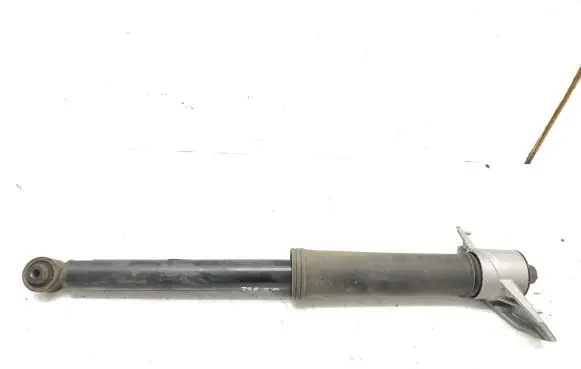 Volvo XC40 Rear shock absorber/damper 32221542 888820925