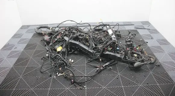 Porsche Cayenne (92A) Other wiring loom 1319546063 7P0971279D
