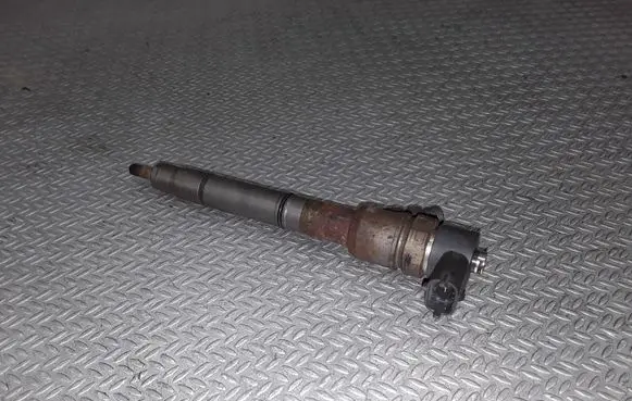 Hyundai Getz Fuel injector 0445110256