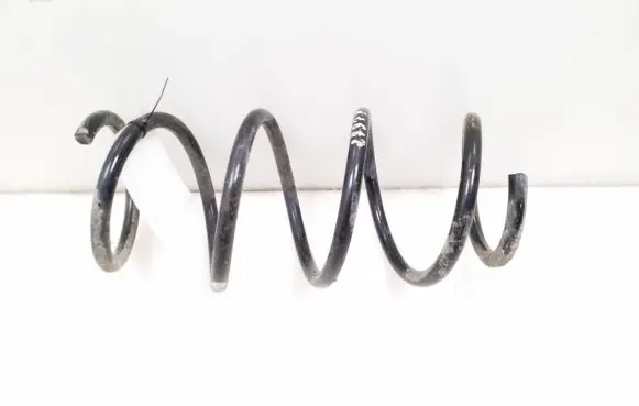 Nissan Juke I F15 Front coil spring