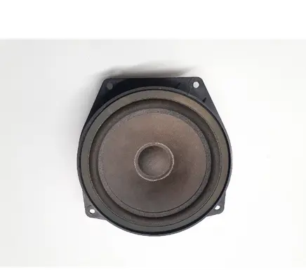 Front door speaker