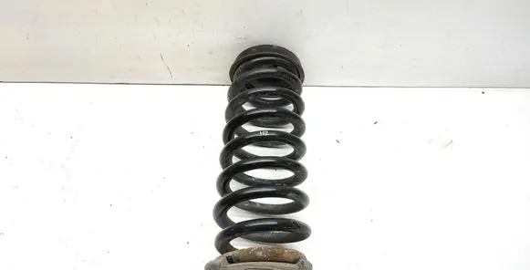 BMW X1 E84 Rear coil spring