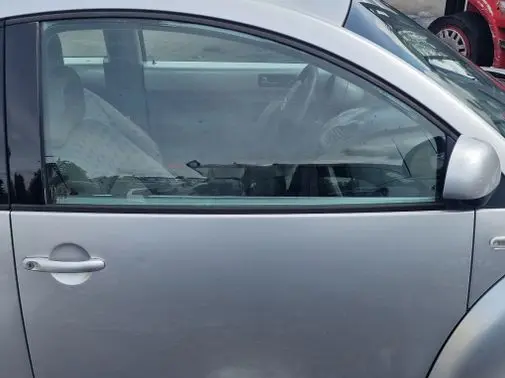 Volkswagen New Beetle Front door
