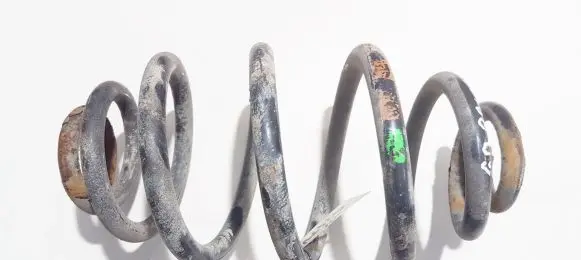Volkswagen PASSAT B5 Rear coil spring