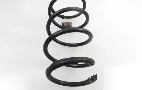 Renault Scenic I Front coil spring