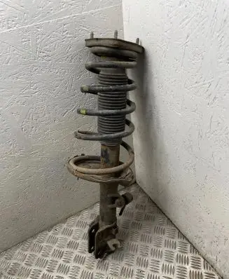 Hyundai Tucson JM Rear shock absorber with coil spring 