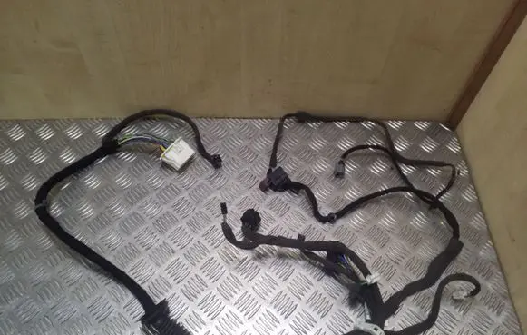 Chevrolet Captiva Front door wiring loom 95083469