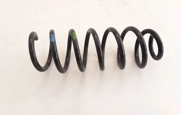 Renault Kadjar Rear coil spring 550204EA3B
