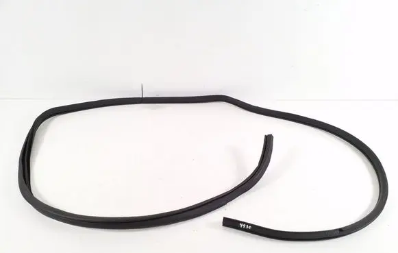 Nissan Leaf II (ZE1) Rear door rubber seal (on body) 769233NA1B