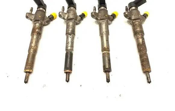 Opel Movano B Fuel injectors set 166000372R