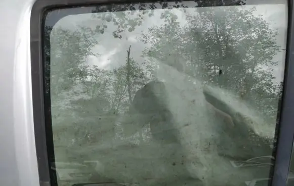 Nissan Pathfinder R51 Rear door window glass