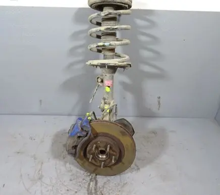 Hyundai Santa Fe Front shock absorber with coil spring