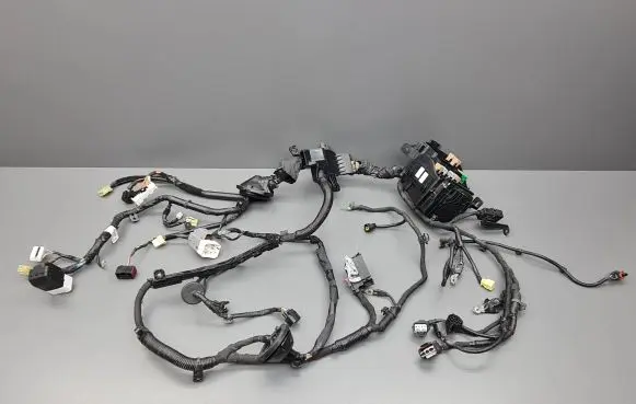 Hyundai i30 Wiring harness 919503X510 91206A6102