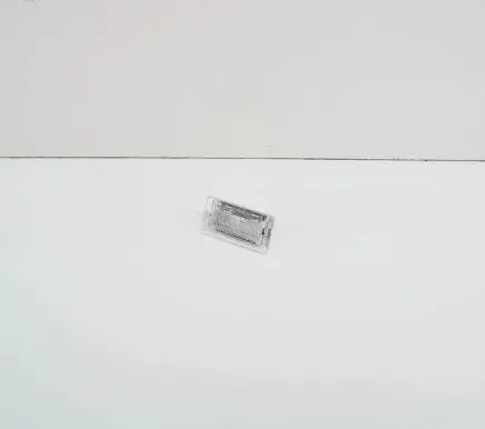 Tesla Model S Front seat light 1INJ907000
