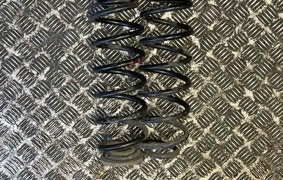Volkswagen Golf V Rear coil spring 