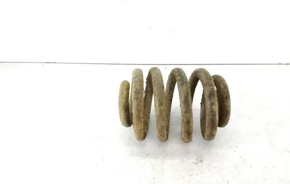 Rear coil spring