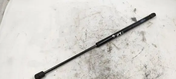 Audi A4 S4 B6 8E 8H Tailgate/trunk strut/damper