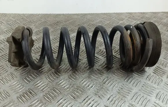Jaguar F-Pace Rear coil spring
