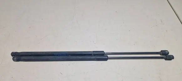 Peugeot 1007 Tailgate/trunk strut/damper 9649587680