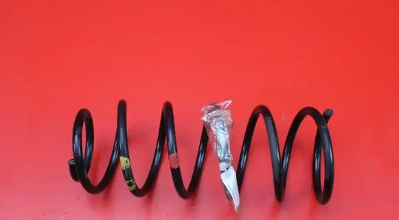Hyundai i20 (PB PBT) Rear coil spring