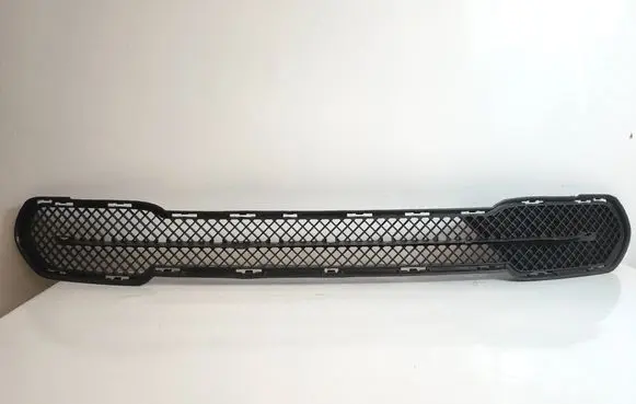 BMW X1 E84 Front bumper lower grill 142064autoas5 142064