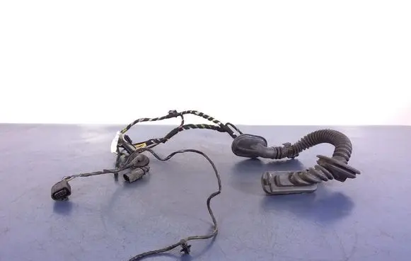Porsche Cayenne (92A) Other wiring loom 7P5971694A
