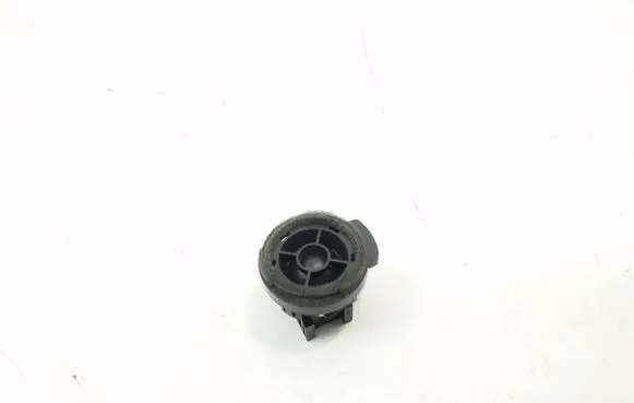 Front door high frequency speaker
