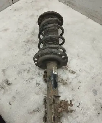 Opel Vectra C Front shock absorber with coil spring 824903554597 13118712 461022360