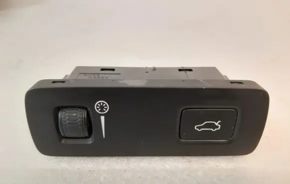 Tailgate opening switch